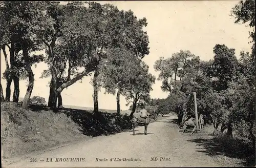 Ak Aïn Draham in Tunesien, La Kroumirie, Route d'Ain Draham