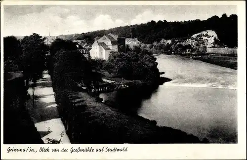 Ak Grimma in Sachsen, Blick von der Großmühle auf Stadtwald