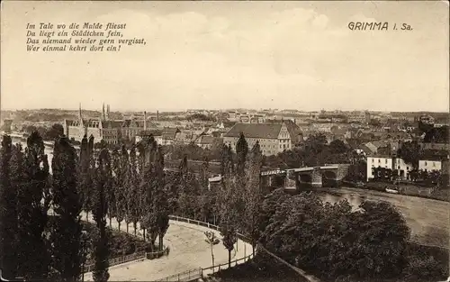 Ak Grimma in Sachsen, Stadtpanorama, Im Tale wo die Mulde fließt