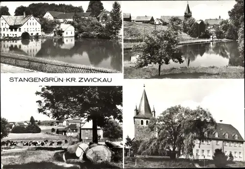 Ak Stangengrün Kirchberg in Sachsen, Panorama, Weiher, Kirche, Kühe