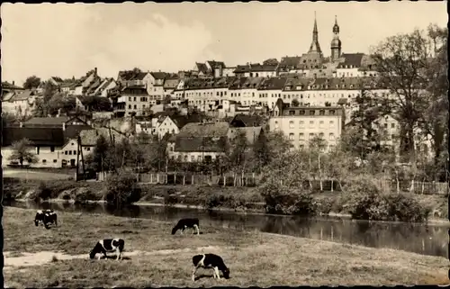 Ak Waldenburg in Sachsen, Teilansicht, Kuhweide