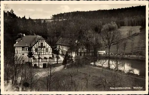 Ak Eisenberg Mühltal Thüringen, Naupoldsmühle