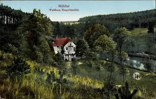 Ak Eisenberg in Thüringen, Mühltal, Waldhaus Naupoldsmühle