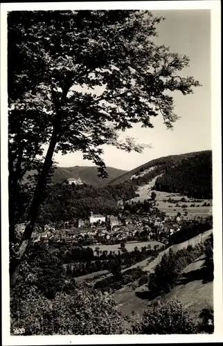 Ak Leutenberg in Thüringen, Panorama