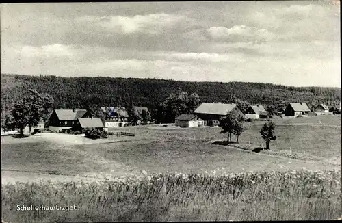Ak Schellerhau Altenberg im Erzgebirge, Ortsansicht
