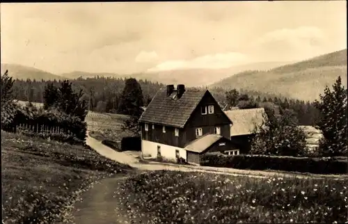 Ak Schellerhau Altenberg im Erzgebirge, Waldblick