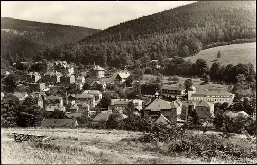 Ak Schmiedeberg Erzgebirge, Teilansicht mit dem Molchgrund