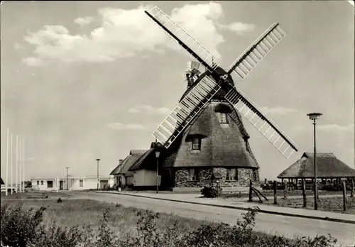 Ak Groß Stieten in Mecklenburg, Gaststätte Mecklenburger Mühle, VEG Tierzucht