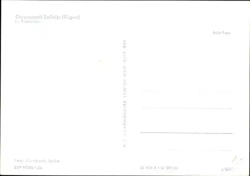 Ak Sassnitz auf der Insel Rügen, Fährhafen