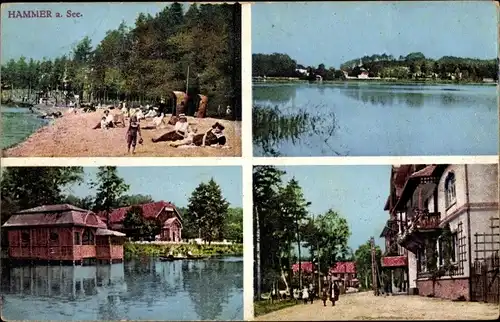 Ak Hamr na Jezeře Hammer am See Region Reichenberg, Strandpartie, Seeblick