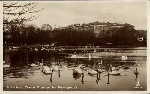Ak København Kopenhagen Dänemark, Teknisk Skole set fra Orstedsparken, Schwäne