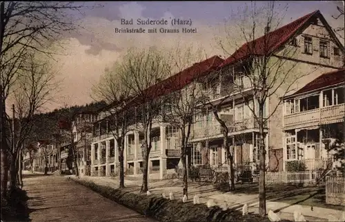 Ak Bad Suderode Quedlinburg im Harz, Brinkstraße mit Grauns Haus