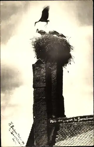Foto Ak Sarrebourg Saarburg Lothringen Moselle, Störche im Nest auf einem Schornstein