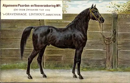 Künstler Ak Eerelman, 'Den Haag Südholland Niederlande, Algemeene Paarden en Veeverzekering Mij.