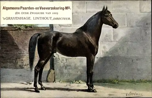 Künstler Ak Eerelman, 'Den Haag Südholland Niederlande, Algemeene Paarden en Veeverzekering Mij.