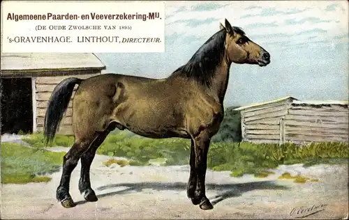 Künstler Ak Eerelman, 'Den Haag Südholland Niederlande, Algemeene Paarden en Veeverzekering Mij.