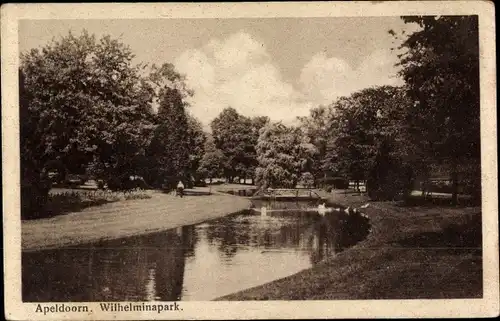 Ak Apeldoorn Gelderland, Wilhelminapark