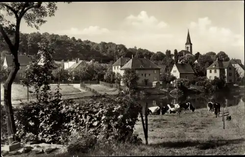 Ak Friedrichsgrün Reinsdorf in Sachsen, Ortsansicht mit Kirche, Kühe