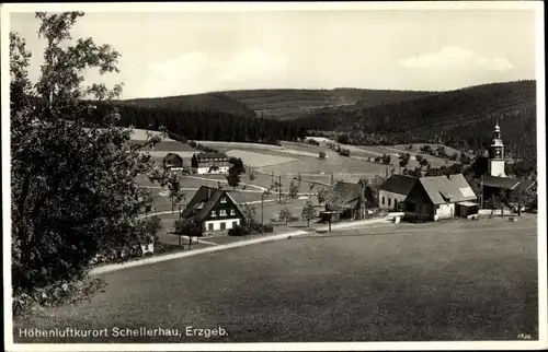 Ak Schellerhau Altenberg im Erzgebirge, Panorama