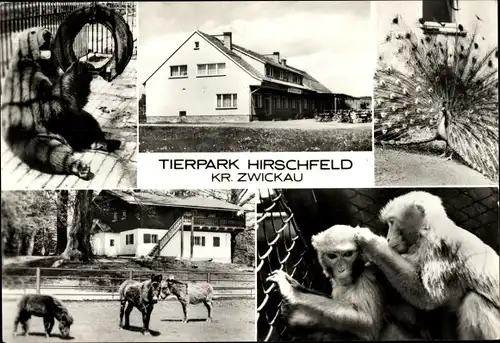 Ak Hirschfeld in Sachsen, Tierpark, Konsum-Gaststätte Bärenschenke