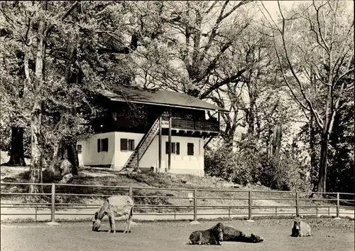 Ak Hirschfeld in Sachsen, Tierpark, Esel, Pony