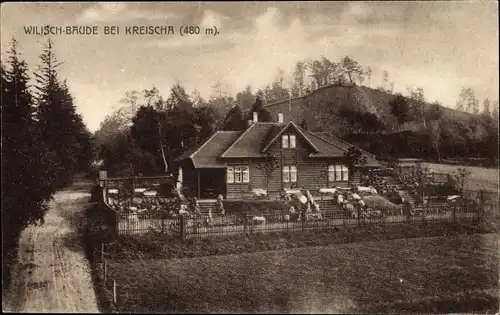 Ak Wilisch Kreischa bei Dresden, Wilisch-Baude