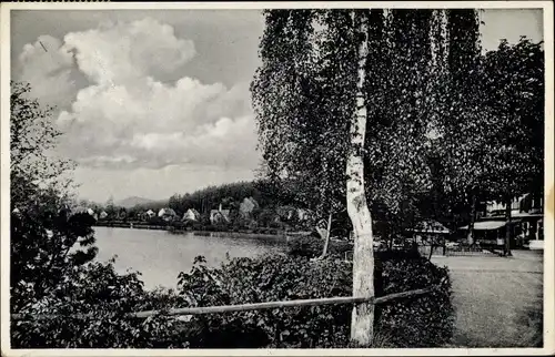 Ak Georgenthal in Thüringen, Kurhaus Schützenhof mit Hammerteich