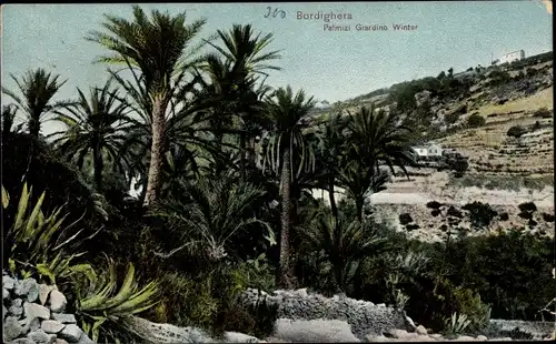 Ak Bordighera Liguria, Palmizi Giardino Winter