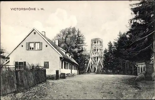 Ak Gernrode Quedlinburg im Harz, Viktorshöhe, Aussichtsturm