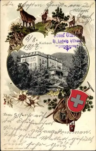 Passepartout Wappen Ak Fridau Fulenbach Kanton Solothurn, Kurhaus, Gämse