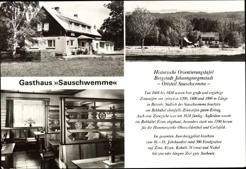 Ak Sauschwemme Johanngeorgenstadt im Erzgebirge, Gasthaus Sauschwemme, Gastraum, Außenansichten