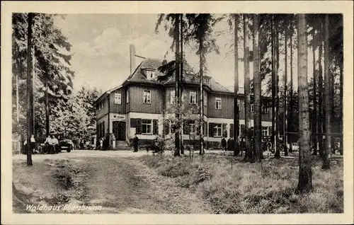 Ak Ebersbrunn Lichtentanne Sachsen, Waldhaus