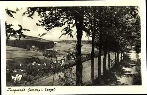 Ak Geising Altenberg Erzgebirge, Teilansicht, vom Feldweg aus