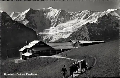 Ak Grindelwald Kanton Bern, Schreckhörner und Fischerwand, Bergrestaurant First