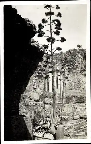 Ak Taormina Sicilia, Teatro Greco