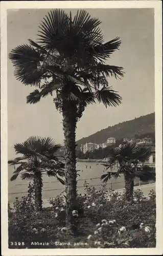Foto Ak Opatija Abbazia Kroatien, Slatina, palme, Totalansicht des Ortes