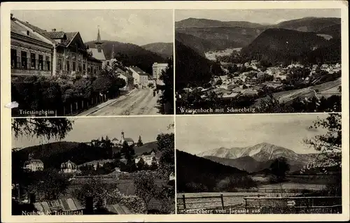 Ak Weissenbach an der Triesting Niederösterreich, Triestingheim, Ort mit Schneeberg, Teilansicht