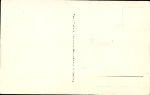 Ak Weissenbach an der Triesting Niederösterreich, Triestingheim, Ort mit Schneeberg, Teilansicht