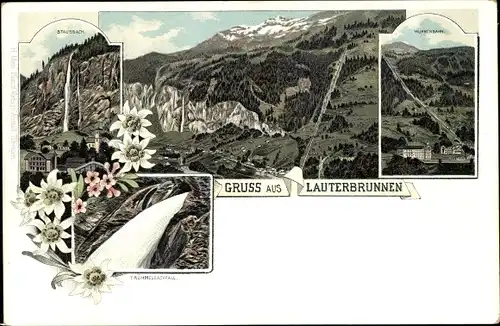 Litho Lauterbrunnen Kanton Bern, Edelweiß, Berglandschaft
