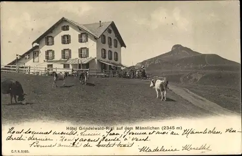 Ak Lauterbrunnen Kanton Bern, Hotel Grindelwald, Rigi auf dem Männlichen