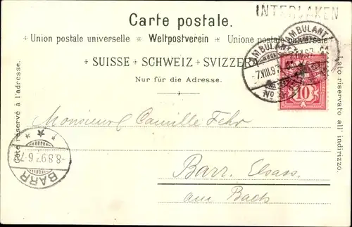 Litho Interlaken Kt. Bern Schweiz, Gesamtansicht, Edelweiß