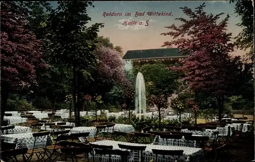 Ak Halle an der Saale, Rotdorn im Bad Wittekind, Springbrunnen