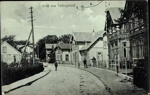 Ak Tellingstedt in Dithmarschen, Straßenpartie