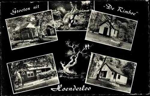 Ak Hoenderloo Gelderland, Kampeercentrum De Rimboe van 1934, Havik, Meesje