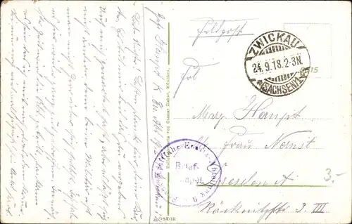 Ak Zwickau in Sachsen, Panorama