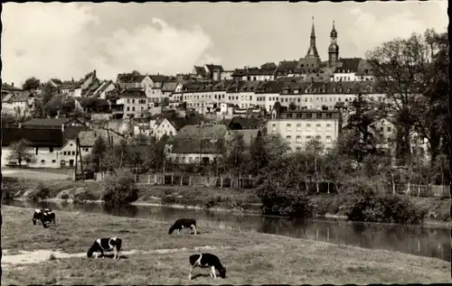 Ak Waldenburg in Sachsen, Teilansicht, Kuhweide