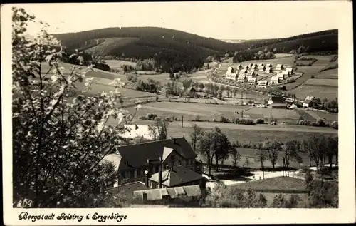 Ak Geising Altenberg Erzgebirge, Panorama