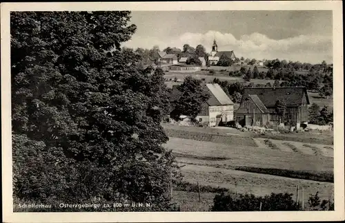 Ak Schellerhau Altenberg im Erzgebirge, Panorama
