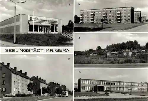 Ak Seelingstädt Thüringen, Konsum Einkaufszentrum, Otto Grotewohl Schule, Kleingartenanlage