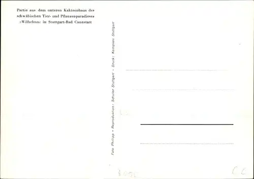 Ak Bad Cannstatt Stuttgart, Wilhelma, Kakteenhaus